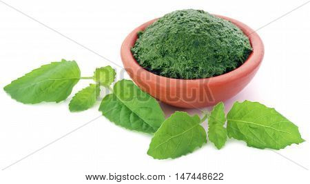 Medicinal holy basil or tulsi leaves with ground paste in a pottery