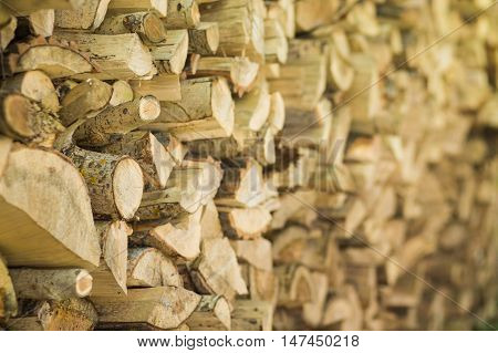 Log cabin texture. Barn natural debarked textured wall background with blur in the future
