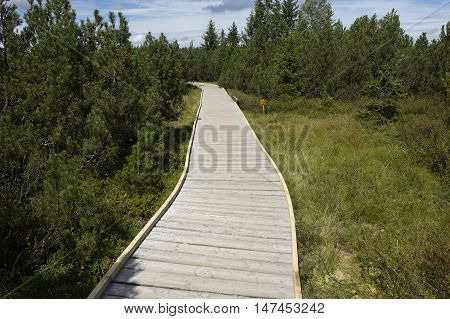 Three lake moor (Trijezerni slat), National Park Sumava, Bohemian forest, Czech Republic