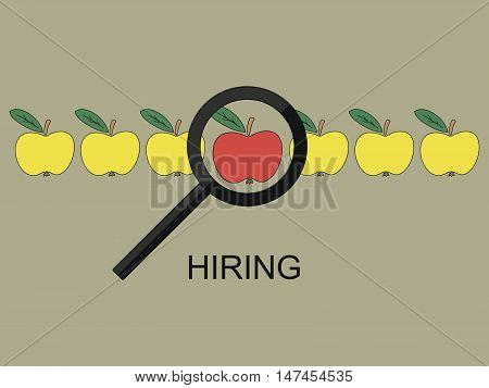 Number of yellow apples in the middle the red, by pointing to it with magnifying glass. Search