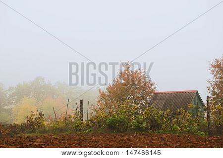 Autumn landscape. Cabin in the woods.Cottage in autumn forest wrapped in mist.