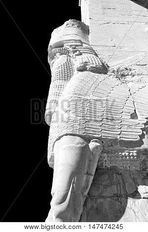 In Iran Persepolis