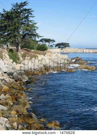 Monterey_Shore