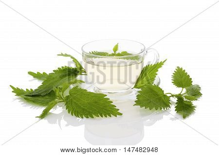Stinging nettle herbs and tea. Fresh nettle leaves and organic hard soap. Healthy natural cosmetics.
