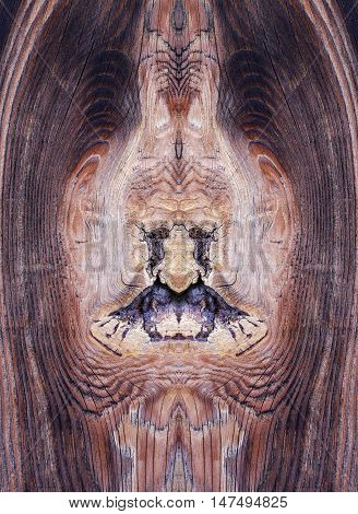 Detail of the bizarre knot in wood - rough wooden texture