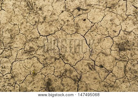 Cracked Ground,Soil Dry,Land Dry, Mud For Background.