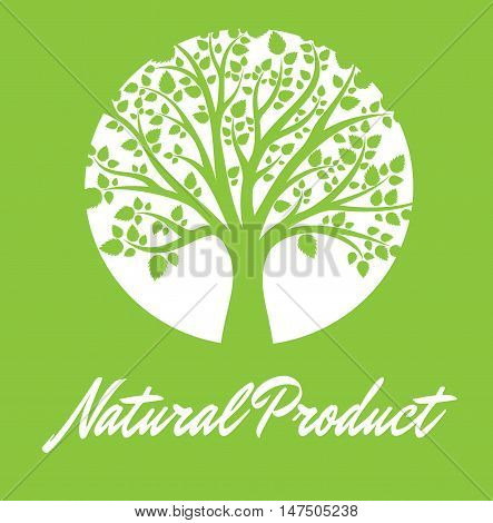 Natural Product Green Background - Colored Vector