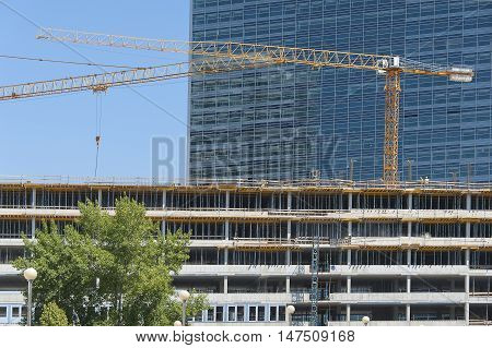 Construction site with crane tree and unfinished modern building.