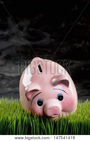 Pink piggy bank at dusk with room for your type.