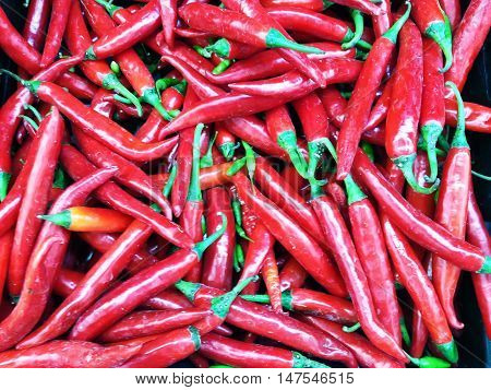 A lot of fresh red peppers in heap on marketplace