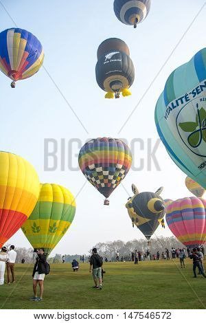 CHIANGRAI THAILAND - FEBRUARY 15 2016 : Hot air Balloons ready to rise into the sky in the morning at SINGHA PARK CHIANGRAI BALLOON FIESTA 2016 Chiangrai province Thailand