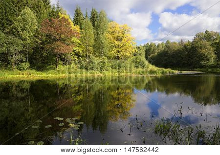 The end of august on the river Meza. Kostroma region