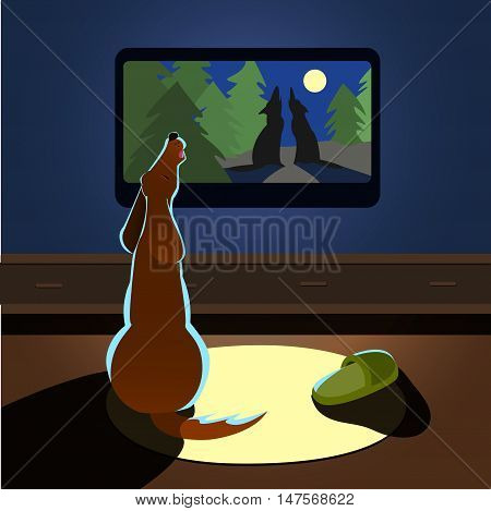 Brown dog howling watches TV Vector illustration back view
