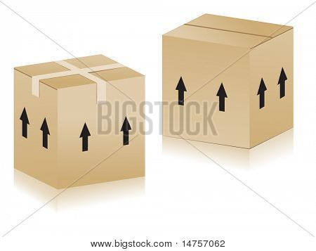 3 차원 벡터 일러스트 판지 상자