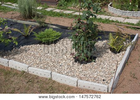 Earth is covered with a special cloth on top of the gravel. Water is supplied to the plants, and there is no sunlight, so the weed does not grow