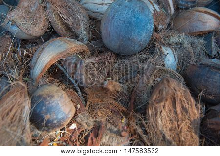 background of coconut spathe fiber on the ground , texture from nature