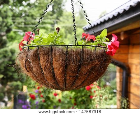 flower basket hang close up photo on the wooden cottage house background
