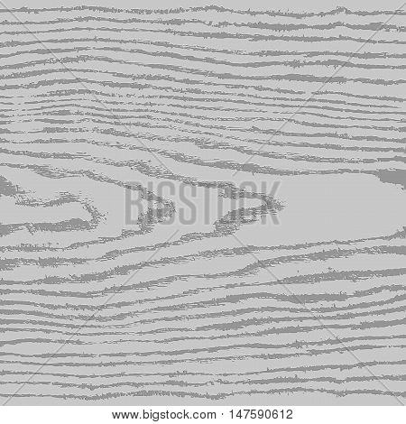 Gray wood texture background in square format. Realistic plank with annual years circles. Natural pattern swatch template in flat style. Vector illustration design elements in 8 eps