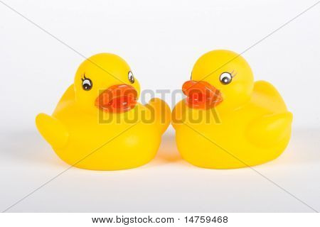 Squittio Toy paperella di gomma