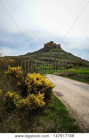 Medieval Castle In Gormas And Yelloow Flowers, Soria, Castilla Y Leon, Spain