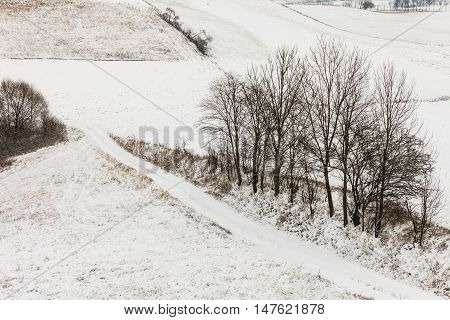 Winter season and seasonal specific. Hilly fields maedows trees covered with white fresh snow. Countryside landscape