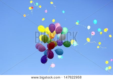 many multicolored balloons flying in the blue sky