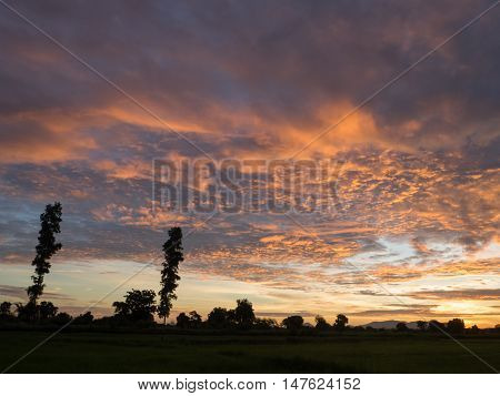 Fantastic wheat field at the sunset. Colorful sky. golden ears of wheat or rye on sky background with clouds under the influence of sunlight. Rich harvest Concept. majestic rural landscape