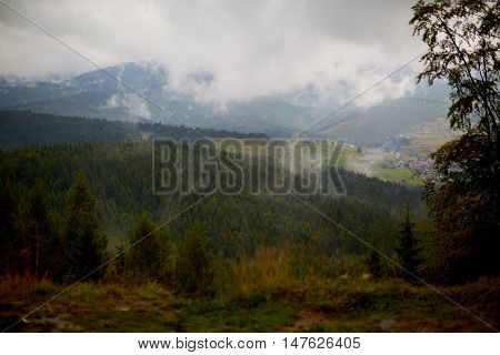 Summer landscape with fog over mountain village. Road on green meadow