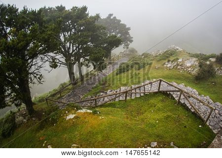 Morning Fog In The Mountains Of Asturias, Spain