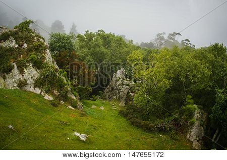 Morning Fog In The Mountains Of Asturias, Spain