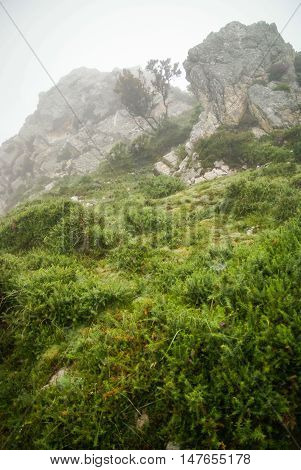 Morning Fog In The Mountains Of Asturias, Spain