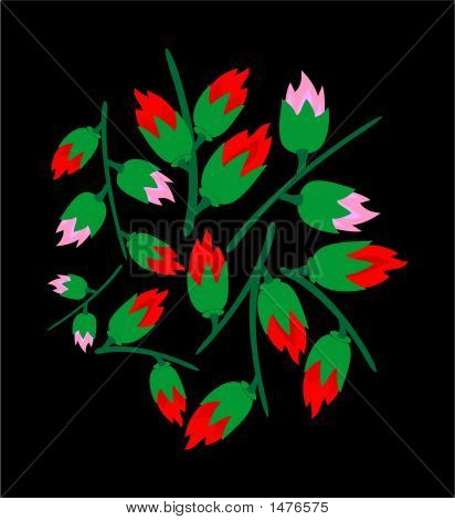 Rose su nero