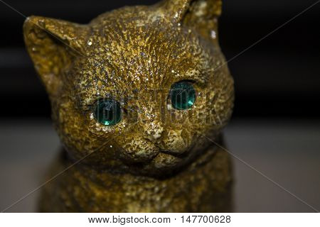 not a real kitten with big beautiful eyes