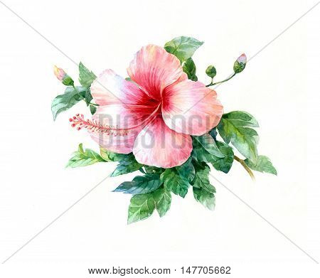 watercolor painting of leaves and flower on white background