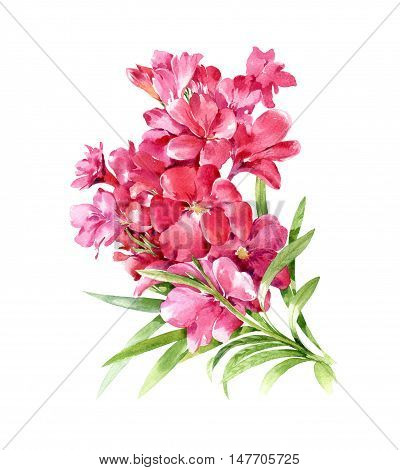 watercolor painting of leaves and flower on white background