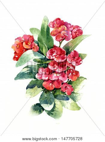 watercolor painting of leaves and flower on white background