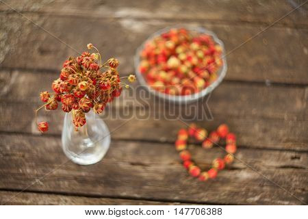 Red Berries On Beautiful Background