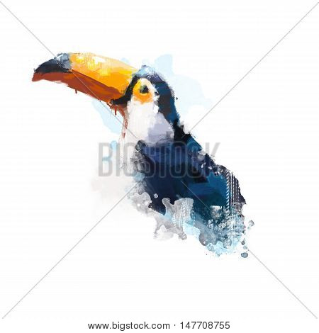 Watercolor bird, illustration Toucan, tropical bird watercolor