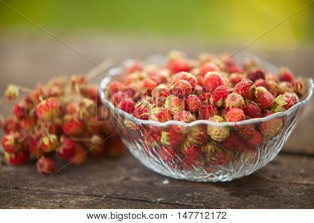 Red Berries On Beautiful Background