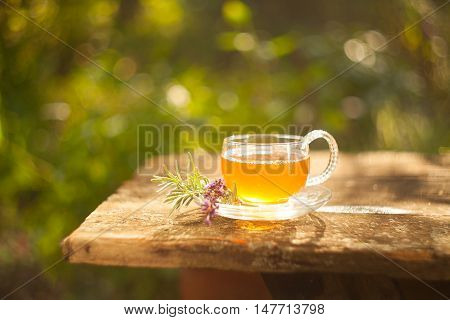 Green Tea In Beautiful Cup