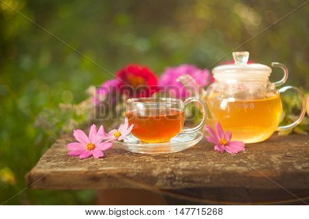 Green Tea In Beautiful Cup
