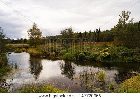 Beautiful autumn lanscape with pound and trees