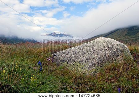 Meadows near Dzhumalinsky thermal spring in Altay Mountains, Siberia, Russia