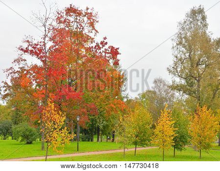 Park Kurakina Dacha early autumn in St.Petersburg Russia.