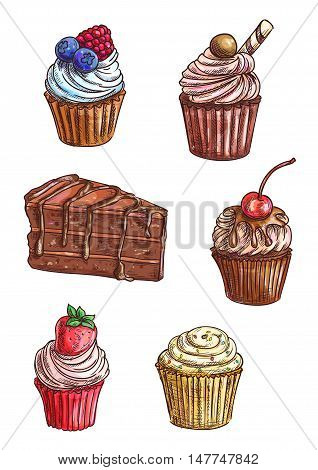 Delicious chocolate cake and cupcake sketches topped with vanilla, fruity and mint cream, chocolate glaze, fresh cherry, strawberry and raspberry fruits, wafer roll, sprinkles