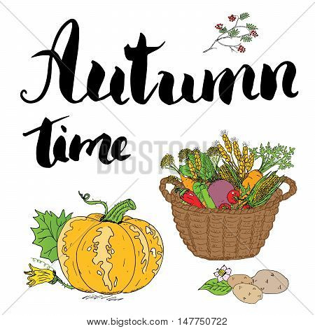 Autumn Season Set. Hand Drawn Doodles And Lettering Vector Illustration.