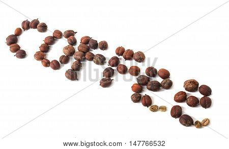 the word coffee from coffee beans laid out on a white background isolated
