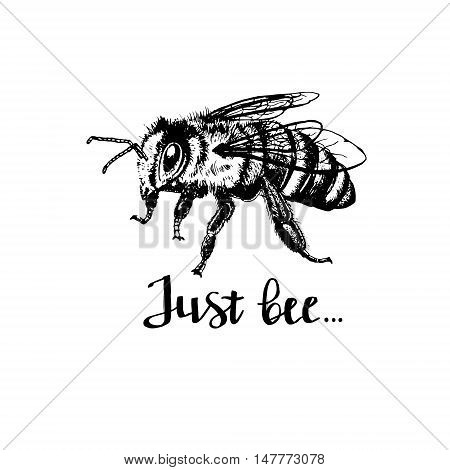 Bee with letters. Phrase just bee. Brown and orange graphic doodle design for mug. Black and white sketch. Vector illustration.