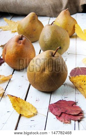 Pear And Autumn Leaves