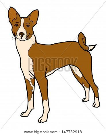 Dog animal brown. illustration picture. Cartoon dog. Picture of a dog. Puppy.